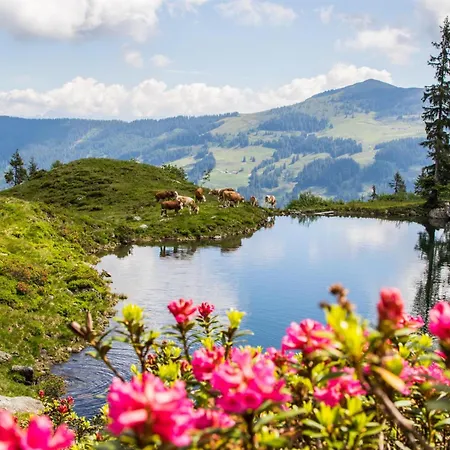 Apartman Schneerose - - Premium Card Im Sommer