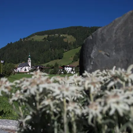 Guest house Schneerose Wildschoenau