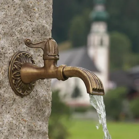 Schneerose - - Premium Card Im Sommer * Wildschoenau