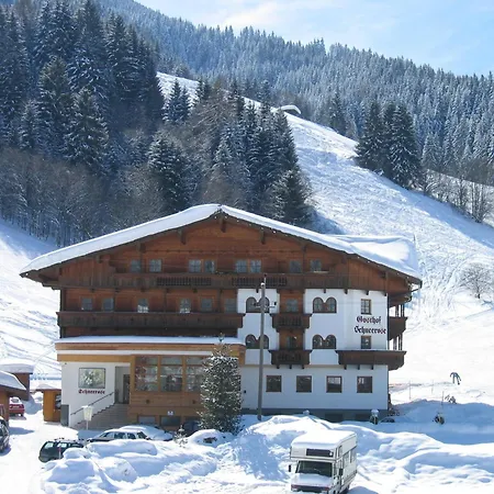 Schneerose - - Premium Card Im Sommer