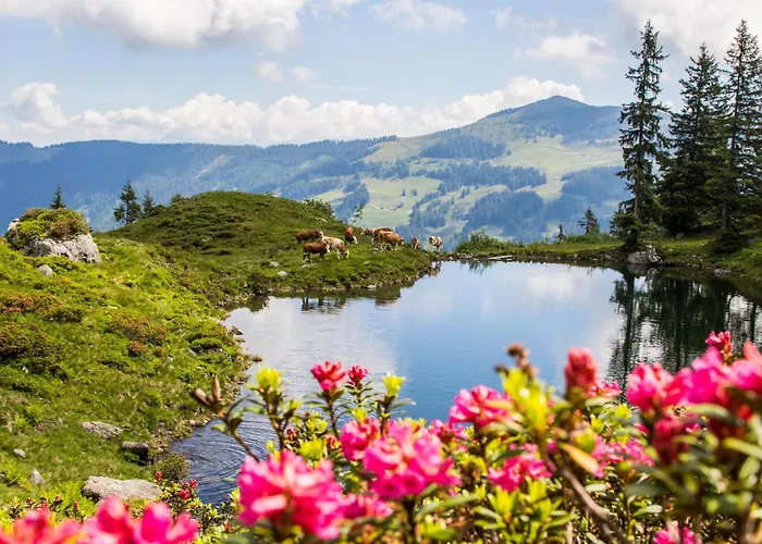 Apartment Schneerose - - Premium Card Im Sommer