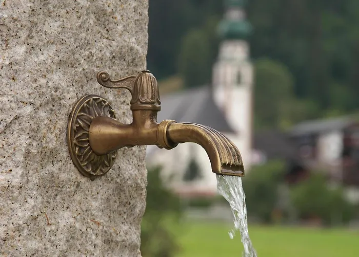 Schneerose - - Premium Card Im Sommer * Wildschoenau