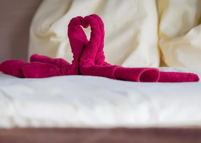 Schneerose - - Premium Card Im Sommer Wildschoenau