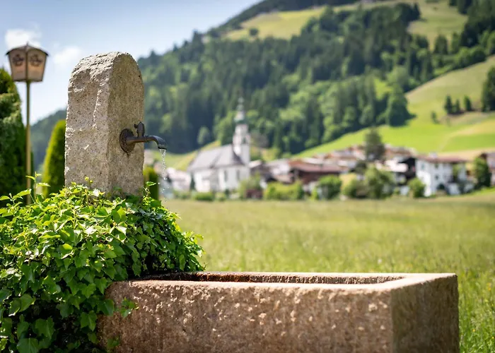 Schneerose - - Premium Card Im Sommer Apartment