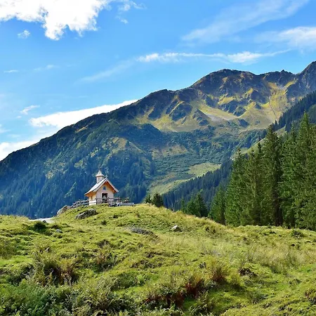 Appartement Schneerose - - Premium Card Im Sommer Wildschoenau