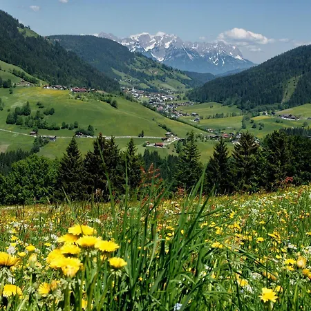 Schneerose - - Premium Card Im Sommer Appartement